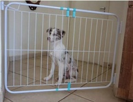 Portão Grade Expansível de Segurança para Crianças e Pets - 70 a 115 cm - imagem 3