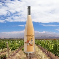 Mon Bouquet Vinho Rosé Francês Alpes De Haut Provence Aoc 750Ml - imagem 1