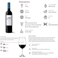 Vinho Bons Ventos Tinto: Sabor e Leveza 750ml - imagem 3