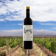 Portil de Lobos Vinho Tinto Espanhol 750Ml - imagem 3