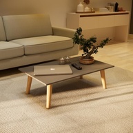 Mesa de Centro Moderna 80x42 cm Cinza - Tampo MDF e Pés em Madeira Maciça - imagem 1