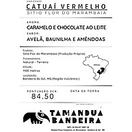 Café Especial Arábica 500g: Torra Média, Vulcânico, 84.5 pts - imagem 4