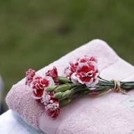Toalha de Banho 85x150 cm Rose Icone - Luxuosa, Macia e Absorvente em 100% Algodão - imagem 4