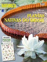 Superpôster: As Mais Belas Flores Nativas do Brasil - Arte Exclusiva 92x60cm - imagem 2