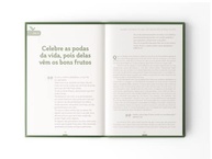 Plenitude: 40 Dias para Transformar Sua Vida e Ir Além - imagem 5