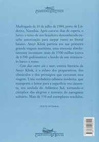 Cem Dias Entre Céu e Mar: A Odisséia de Amyr Klink em um Barco a Remo - imagem 3
