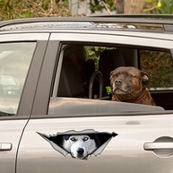 Adesivo Husky 3D Realista para Carro - Decore com Estilo e Diversão! - imagem 5