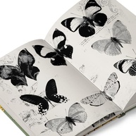 Bíblia Clássica do Tarot: A Obra Definitiva de Rachel Pollack - imagem 4
