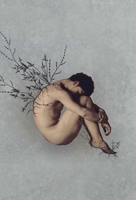 Céu Noturno Crivado de Balas: Poesia que Transcende Guerras e Identidades - imagem 1
