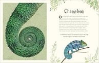 Enciclopédia de Animais Fascinantes: Um Guia Ilustrado para Crianças Curiosas - imagem 3