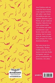 Desmemória: Um Romance Intrigante Sobre Memória e Afeto - imagem 3