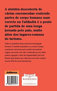 O Caminho Imperfeito: Uma Jornada Poética e Investigativa pela Tailândia - imagem 3