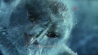 A Lenda dos Guardiões: O Abalo - Volume 5 | Aventura Épica de Corujas - imagem 3