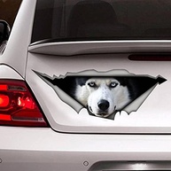 Adesivo Husky 3D Realista para Carro - Decore com Estilo e Diversão! - imagem 2