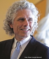 Guia de Escrita de Steven Pinker: Domine a Clareza, Precisão e Elegância - imagem 4