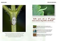 Guia Essencial: Combata Pragas no Jardim e Horta com Eficiência - imagem 5