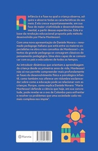 A Mente da Criança: Desvende o Potencial Infinito com Montessori - imagem 3