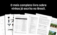 Descubra o Mundo do Vinho: Guia Completo para Iniciantes e Amantes - imagem 2