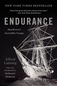 Endurance: A Incrível Jornada de Shackleton - Aventura Épica no Polo Sul - imagem 1