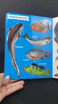 Minha Primeira Enciclopédia de Animais Aquáticos: Descubra o Mundo Submarino! - imagem 4