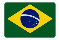 Adesivo Resinado Bandeira do Brasil 5,5x3,5cm - Destaque Patriota no Seu Veículo - imagem 3