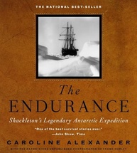 The Endurance: Shackleton's Legendary Antarctic Expedition - imagem 2