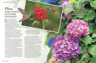 Revista Natureza Edição 436: Flores para Encantar Sua Casa e Jardim - imagem 4