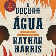 A Doçura da Água: Um Romance Impactante sobre Amor, Liberdade e Superação - imagem 2