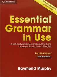 Essential Grammar in Use: Domine o Inglês Essencial com o Guia Definitivo - imagem 1