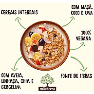 Granola Mãe Terra Frutas & Mel Sem Açúcar 800g - imagem 4