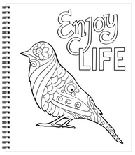 Livro de Colorir Anti-Stress com Impressão Grande: Calma e Criatividade para Adultos - imagem 5