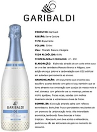 Garibaldi Refrigerante De Uva Ice Sem Álcool 750Ml - imagem 2