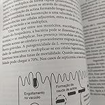 Microbiologia da Segurança dos Alimentos: Guia Essencial para Profissionais e Estudantes - imagem 5