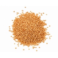 Amaranto em Grãos Premium 1kg Wenutri - imagem 3