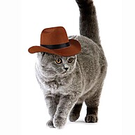 Chapéu Cowboy Pet: Estilo e Aventura para Seu Amigo! - imagem 1