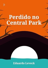 Perdido no Central Park: Romance Dramático sobre Autodescoberta e Amor Jovem - imagem 2