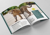 Biblioteca Animais do Mundo: Box com 3 Livros Essenciais - imagem 4