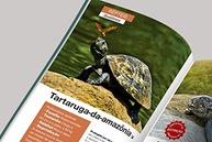 Mundo Animal: Descubra a Riqueza da Fauna Brasileira | Livro Completo - imagem 4