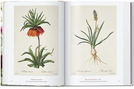 Redouté: O Livro das Flores - Edição 40 Anos TASCHEN - imagem 4