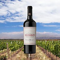 Don Nicolás Cabernet Sauvignon: Vinho Argentino 750ml - imagem 3