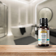 Essência de Alecrim Coala 10ml: Bem-Estar e Aroma - imagem 2
