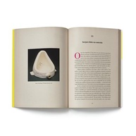 Como Ser Artista: O Guia Essencial de Jerry Saltz para Realizar Seu Sonho Criativo - imagem 5