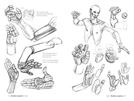Anatomia Artística 2: Domine o Desenho do Corpo Humano Esquematizado - imagem 5