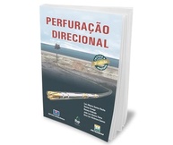 Perfuração Direcional: Domine as Técnicas Essenciais para a Indústria do Petróleo - imagem 4