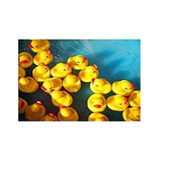 Patinhos de Banho Zoop Toys - Diversão Segura e Colorida para Bebês - imagem 3