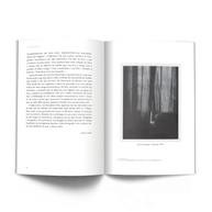 A Câmara Clara: Desvende a Essência da Fotografia com Roland Barthes - imagem 4