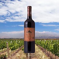 Sierra Batuco Carmenere: Vinho Tinto Chileno 750ml - imagem 1