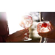 Gin Beefeater Pink 700ml: Toque Frutado Refrescante - imagem 4