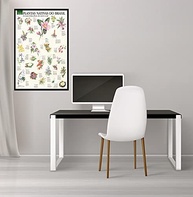 Superpôster: As Mais Belas Flores Nativas do Brasil - Arte Exclusiva 92x60cm - imagem 4