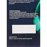 Chá Real Hortelã: Refrescância e Bem-Estar 10g - imagem 2